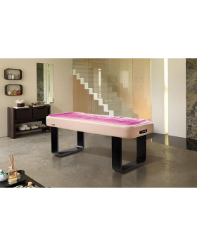 Кушетка массажная "Spa Dream W"